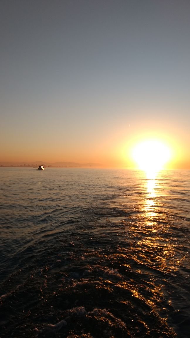 Yeh Surf | Boné 2 - Imagem 3